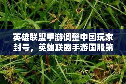 英雄联盟手游调整中国玩家封号,英雄联盟手游国服第一被封号,探究背后的原因与反思 英雄联盟手游调整中国玩家封号,英雄联盟手游国服第一被封号,探究背后的原因与反思
