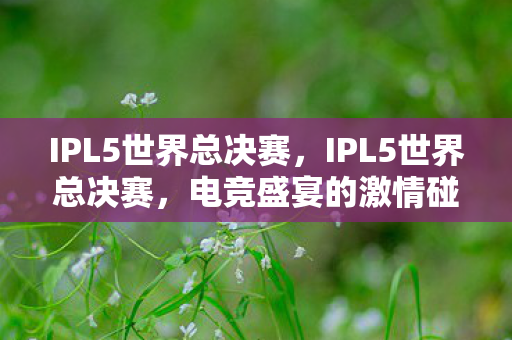 IPL5世界总决赛,IPL5世界总决赛,电竞盛宴的激情碰撞 IPL5世界总决赛,IPL5世界总决赛,电竞盛宴的激情碰撞