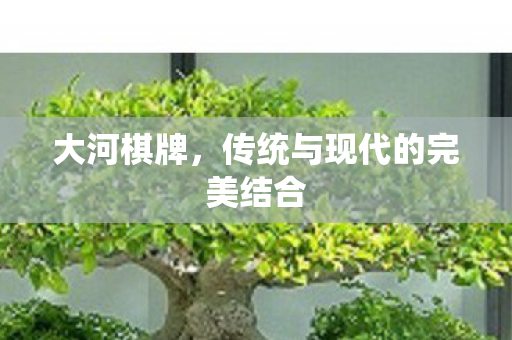 大河棋牌,传统与现代的完美结合 大河棋牌,传统与现代的完美结合