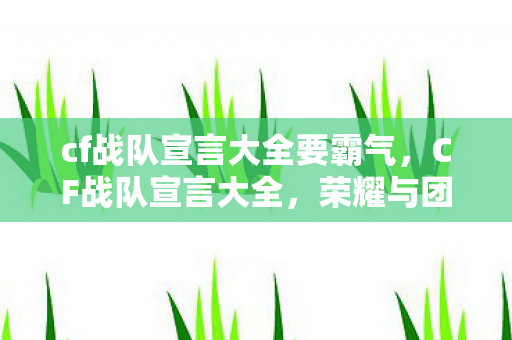 cf战队宣言大全要霸气,CF战队宣言大全,荣耀与团结的誓言 cf战队宣言大全要霸气,CF战队宣言大全,荣耀与团结的誓言