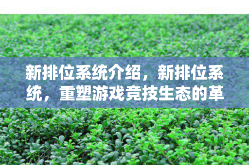 新排位系统介绍,新排位系统,重塑游戏竞技生态的革新之举 新排位系统介绍,新排位系统,重塑游戏竞技生态的革新之举