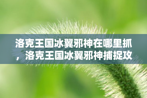 洛克王国冰翼邪神在哪里抓,洛克王国冰翼邪神捕捉攻略 洛克王国冰翼邪神在哪里抓,洛克王国冰翼邪神捕捉攻略