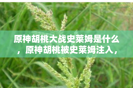 原神胡桃大战史莱姆是什么,原神胡桃被史莱姆注入,一场意外的冒险 原神胡桃大战史莱姆是什么,原神胡桃被史莱姆注入,一场意外的冒险