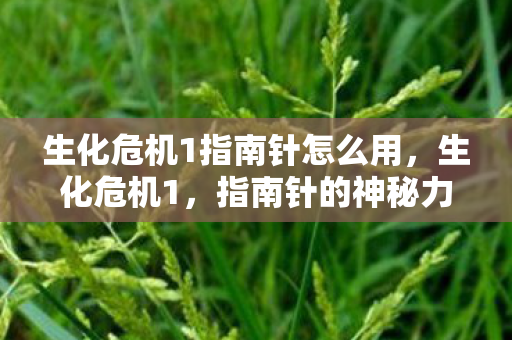 生化危机1指南针怎么用,生化危机1,指南针的神秘力量 生化危机1指南针怎么用,生化危机1,指南针的神秘力量