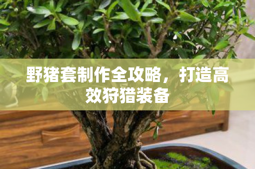 野猪套制作全攻略,打造高效狩猎装备 野猪套制作全攻略,打造高效狩猎装备