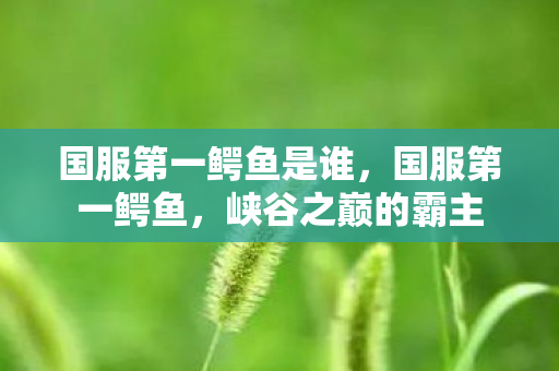 国服第一鳄鱼是谁,国服第一鳄鱼,峡谷之巅的霸主 国服第一鳄鱼是谁,国服第一鳄鱼,峡谷之巅的霸主
