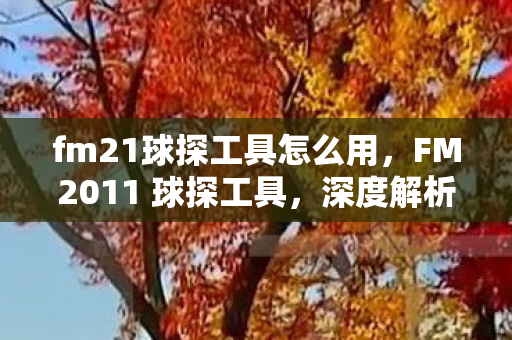 fm21球探工具怎么用,FM2011 球探工具,深度解析其应用与优势 fm21球探工具怎么用,FM2011 球探工具,深度解析其应用与优势