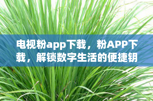 电视粉app下载,粉APP下载,解锁数字生活的便捷钥匙 电视粉app下载,粉APP下载,解锁数字生活的便捷钥匙