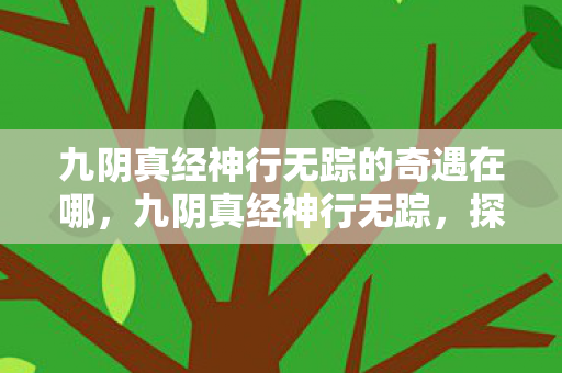 九阴真经神行无踪的奇遇在哪，九阴真经神行无踪，探索武侠世界的轻功奥秘