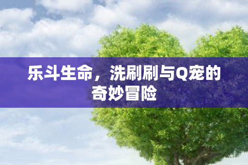乐斗生命,洗刷刷与Q宠的奇妙冒险 乐斗生命,洗刷刷与Q宠的奇妙冒险