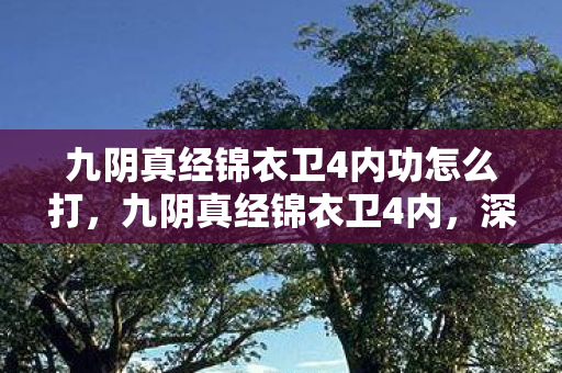 九阴真经锦衣卫4内功怎么打，九阴真经锦衣卫4内，深度解析与玩法攻略