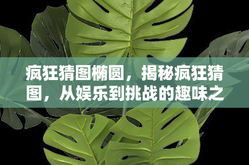 疯狂猜图椭圆,揭秘疯狂猜图,从娱乐到挑战的趣味之旅 疯狂猜图椭圆,揭秘疯狂猜图,从娱乐到挑战的趣味之旅