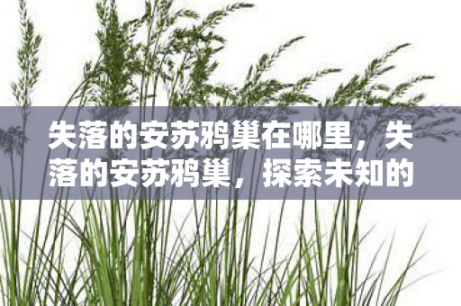 失落的安苏鸦巢在哪里，失落的安苏鸦巢，探索未知的神秘之地
