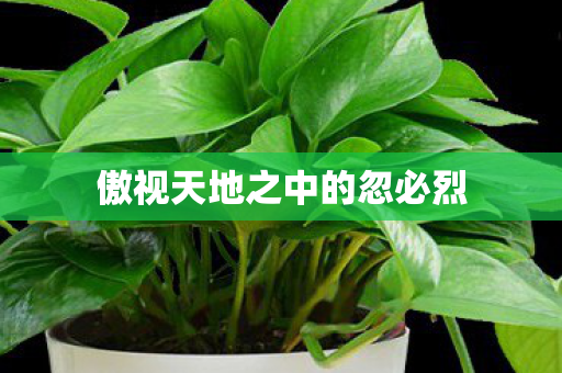 傲视天地之中的忽必烈 傲视天地之中的忽必烈