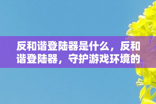 反和谐登陆器是什么,反和谐登陆器,守护游戏环境的双刃剑 反和谐登陆器是什么,反和谐登陆器,守护游戏环境的双刃剑