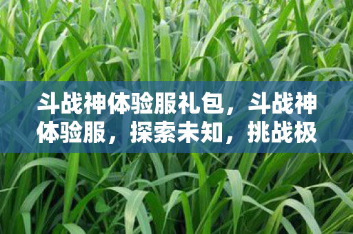 斗战神体验服礼包,斗战神体验服,探索未知,挑战极限 斗战神体验服礼包,斗战神体验服,探索未知,挑战极限