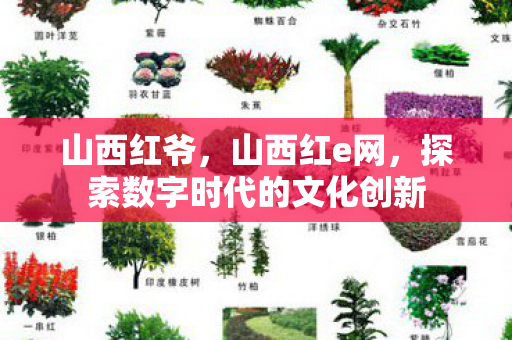 山西红爷,山西红e网,探索数字时代的文化创新 山西红爷,山西红e网,探索数字时代的文化创新