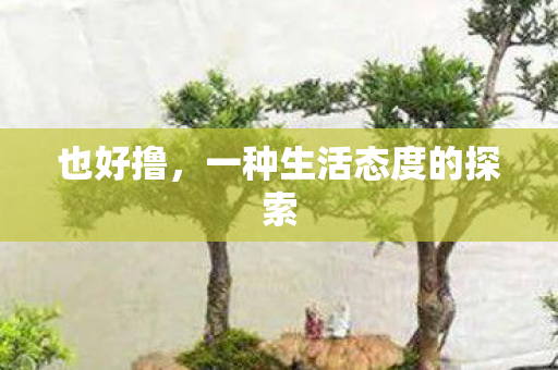 也好撸,一种生活态度的探索 也好撸,一种生活态度的探索