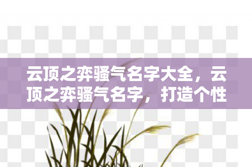 云顶之弈骚气名字大全,云顶之弈骚气名字,打造个性与策略的完美结合 云顶之弈骚气名字大全,云顶之弈骚气名字,打造个性与策略的完美结合
