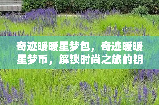 奇迹暖暖星梦包，奇迹暖暖星梦币，解锁时尚之旅的钥匙