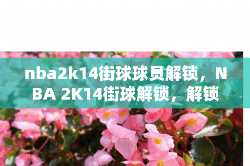 nba2k14街球球员解锁,NBA 2K14街球解锁,解锁你的篮球梦想 nba2k14街球球员解锁,NBA 2K14街球解锁,解锁你的篮球梦想