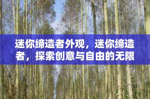 迷你缔造者外观,迷你缔造者,探索创意与自由的无限可能 迷你缔造者外观,迷你缔造者,探索创意与自由的无限可能
