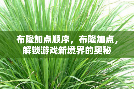 布隆加点顺序,布隆加点,解锁游戏新境界的奥秘 布隆加点顺序,布隆加点,解锁游戏新境界的奥秘