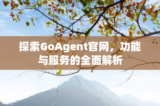 探索GoAgent官网，功能与服务的全面解析