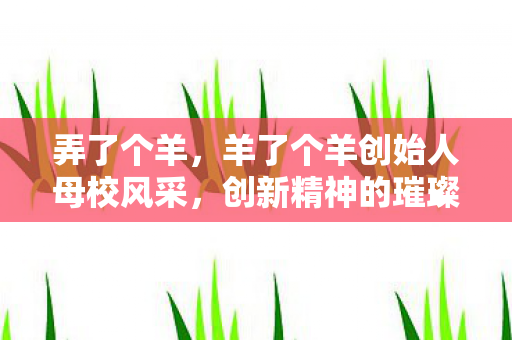 弄了个羊,羊了个羊创始人母校风采,创新精神的璀璨绽放 弄了个羊,羊了个羊创始人母校风采,创新精神的璀璨绽放