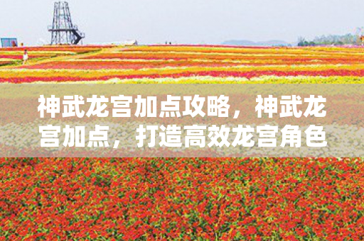 神武龙宫加点攻略，神武龙宫加点，打造高效龙宫角色，提升战斗能力
