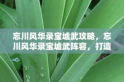 忘川风华录宝墟武攻略,忘川风华录宝墟武阵容,打造最强战斗阵容的攻略 忘川风华录宝墟武攻略,忘川风华录宝墟武阵容,打造最强战斗阵容的攻略