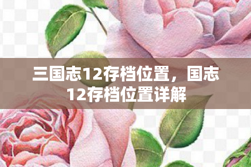 三国志12存档位置,国志12存档位置详解 三国志12存档位置,国志12存档位置详解