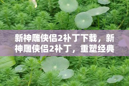 新神雕侠侣2补丁下载,新神雕侠侣2补丁,重塑经典,再续江湖情缘 新神雕侠侣2补丁下载,新神雕侠侣2补丁,重塑经典,再续江湖情缘