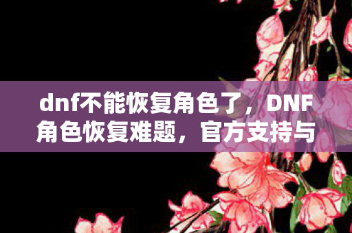 dnf不能恢复角色了,DNF角色恢复难题,官方支持与玩家自救的困境 dnf不能恢复角色了,DNF角色恢复难题,官方支持与玩家自救的困境