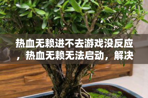 热血无赖进不去游戏没反应,热血无赖无法启动,解决游戏无法进入的常见问题 热血无赖进不去游戏没反应,热血无赖无法启动,解决游戏无法进入的常见问题