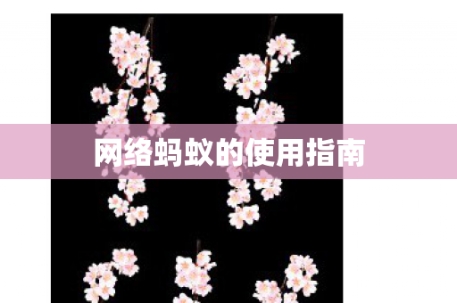 网络蚂蚁的使用指南