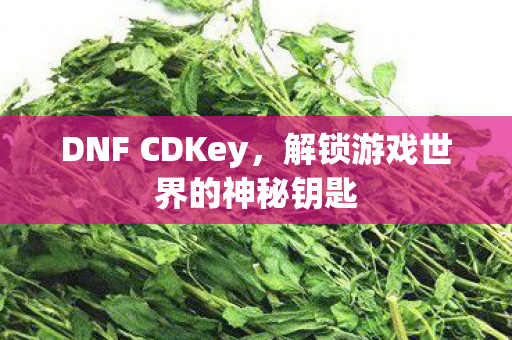 DNF CDKey,解锁游戏世界的神秘钥匙 DNF CDKey,解锁游戏世界的神秘钥匙