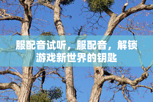 服配音试听,服配音,解锁游戏新世界的钥匙 服配音试听,服配音,解锁游戏新世界的钥匙