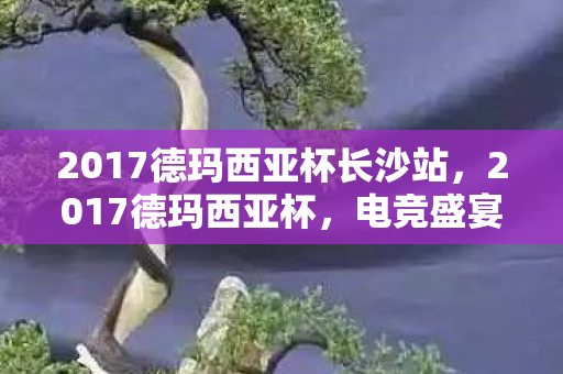 2017德玛西亚杯长沙站,2017德玛西亚杯,电竞盛宴的回顾与启示 2017德玛西亚杯长沙站,2017德玛西亚杯,电竞盛宴的回顾与启示
