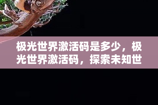 极光世界激活码是多少,极光世界激活码,探索未知世界的钥匙 极光世界激活码是多少,极光世界激活码,探索未知世界的钥匙