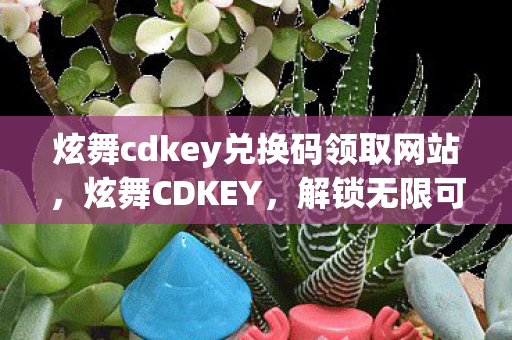 炫舞cdkey兑换码领取网站，炫舞CDKEY，解锁无限可能的神秘代码