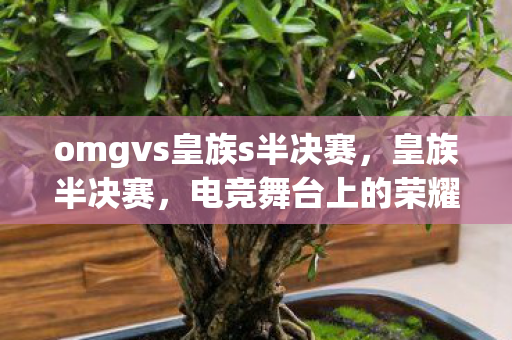 omgvs皇族s半决赛,皇族半决赛,电竞舞台上的荣耀与梦想 omgvs皇族s半决赛,皇族半决赛,电竞舞台上的荣耀与梦想
