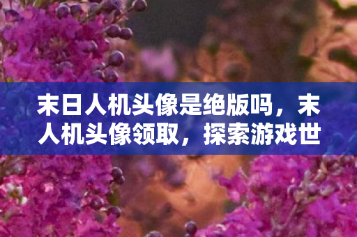末日人机头像是绝版吗,末人机头像领取,探索游戏世界的独特魅力 末日人机头像是绝版吗,末人机头像领取,探索游戏世界的独特魅力