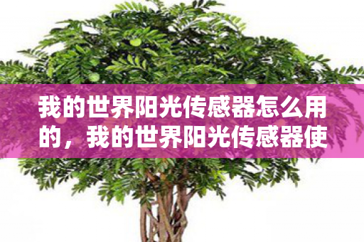 我的世界阳光传感器怎么用的,我的世界阳光传感器使用指南 我的世界阳光传感器怎么用的,我的世界阳光传感器使用指南
