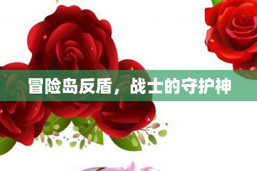 冒险岛反盾，战士的守护神