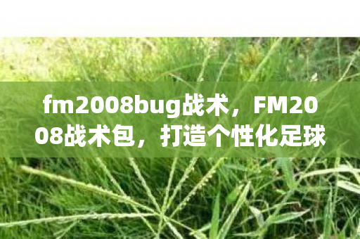 fm2008bug战术,FM2008战术包,打造个性化足球战术的利器 fm2008bug战术,FM2008战术包,打造个性化足球战术的利器