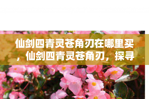 仙剑四青灵苍角刃在哪里买，仙剑四青灵苍角刃，探寻经典游戏中的神秘神兵