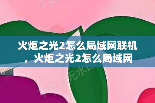 火炬之光2怎么局域网联机，火炬之光2怎么局域网