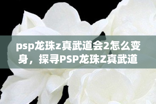 psp龙珠z真武道会2怎么变身，探寻PSP龙珠Z真武道会2的无限可能