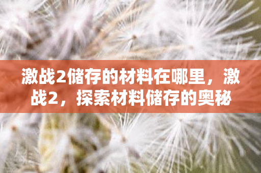 激战2储存的材料在哪里，激战2，探索材料储存的奥秘